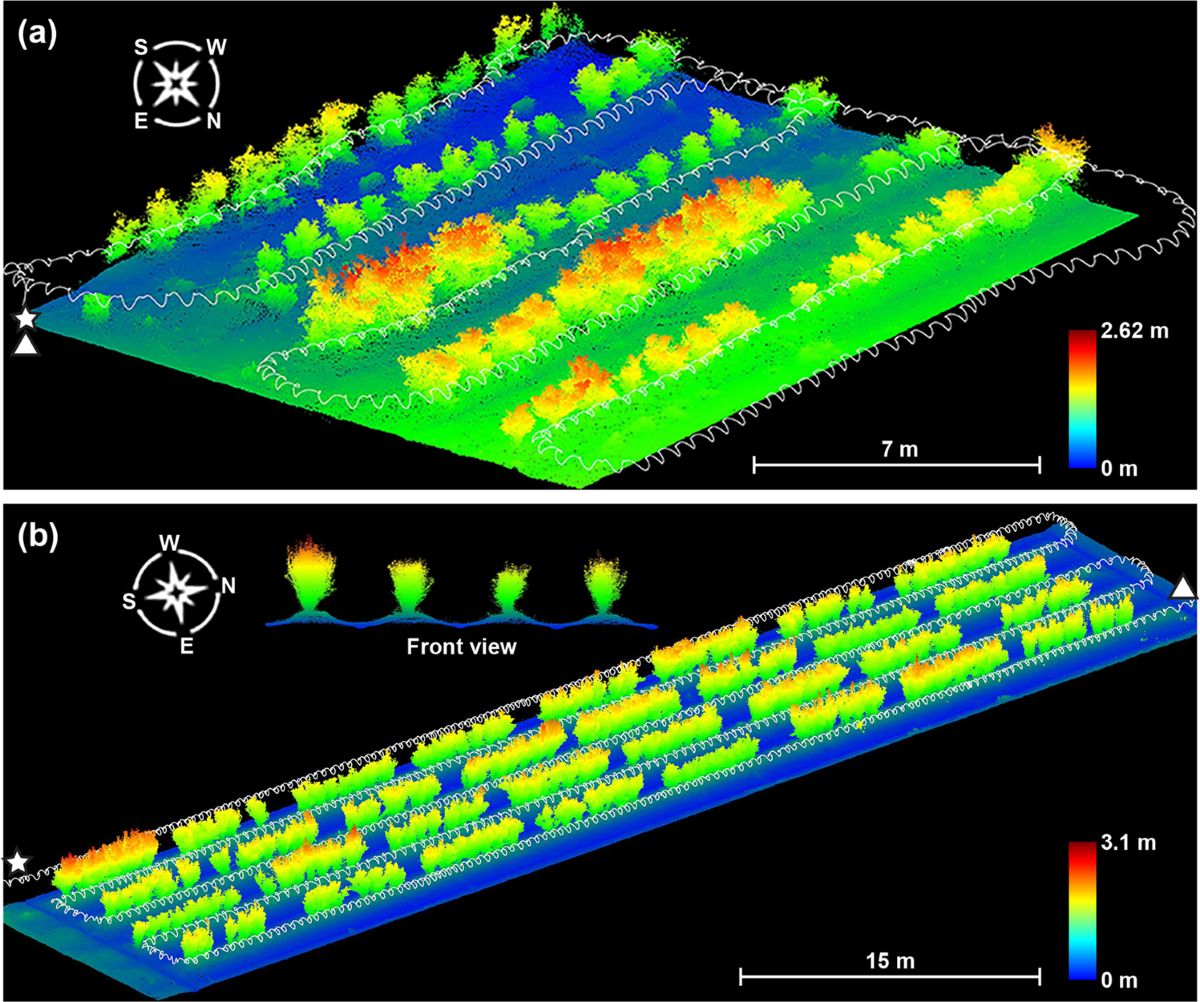Color-coded 3D point-cloud maps used to measure crop height across field rows